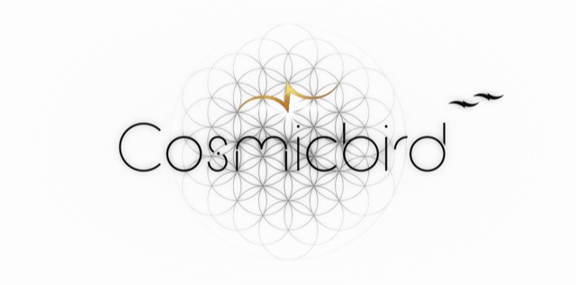 Logo Cosmicbird