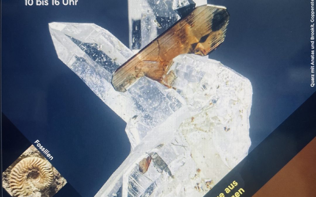 Berner Mineralien und Fossilien Messe in Thun