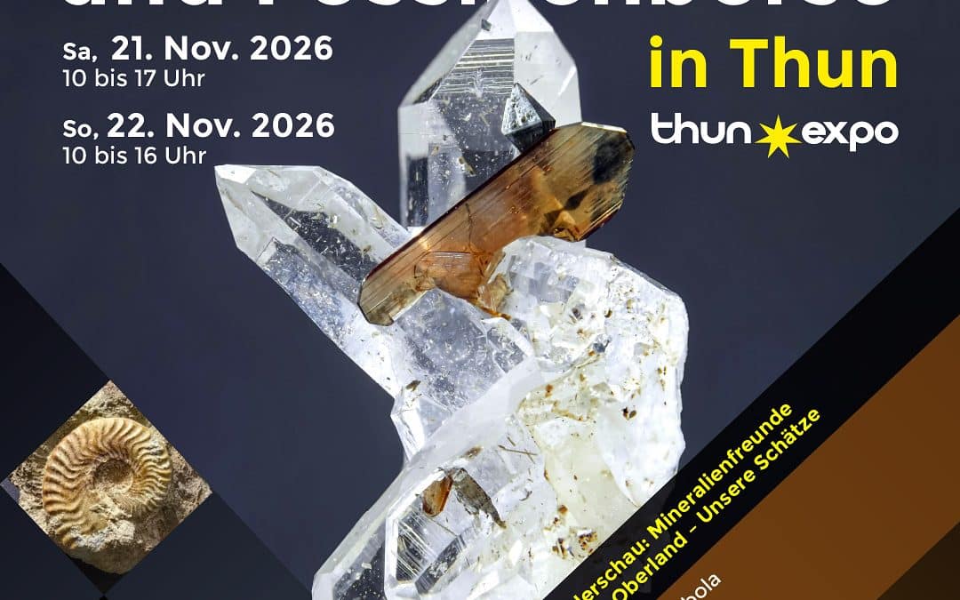 Berner Mineralien- und Fossilienbörse 2026